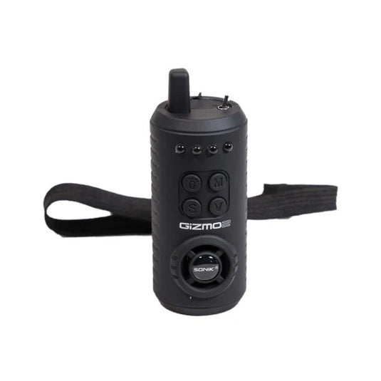 Gizmo2 Receiver