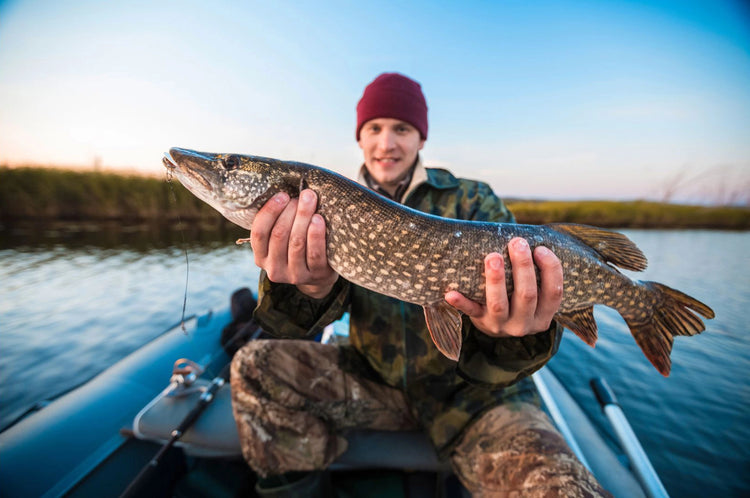 Angler im Boot beim Drill eines Fisches