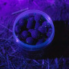 Nightlight Pop Ups – Bild 4